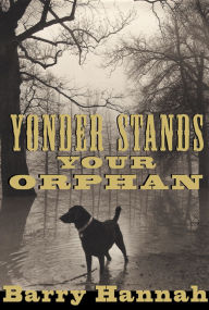 Title: Yonder Stands Your Orphan, Author: Barry Hannah