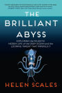 The Brilliant Abyss: Exploring the Majestic Hidden Life of the Deep Ocean, and the Looming Threat That Imperils It