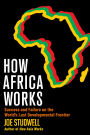 How Africa Works: Success and Failure on the World's Last Developmental Frontier
