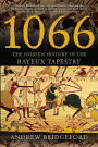 1066: The Hidden History in the Bayeux Tapestry