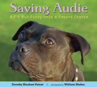 Saving Audie: A Pit Bull Puppy Gets a Second Chance