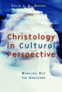 Christology in Culture Perspective: Marking Out the Horizons