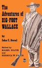 The Adventures of Big-Foot Wallace