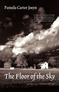 Title: The Floor of the Sky, Author: Pamela Carter Joern
