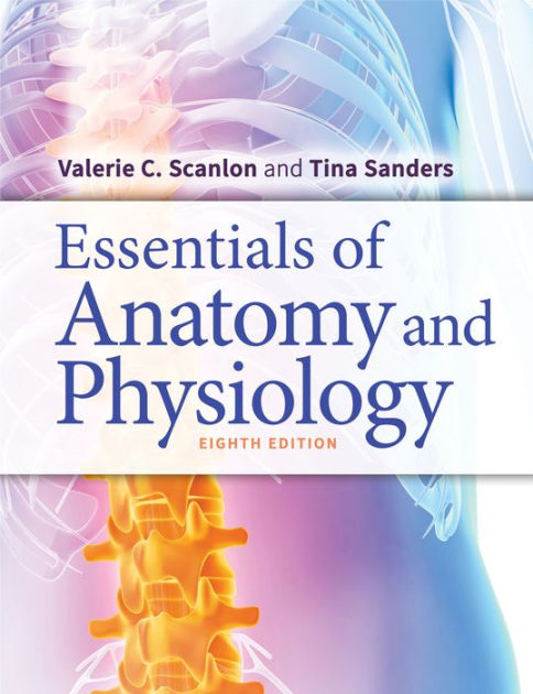 Scanlon　Anatomy　by　and　Noble®　Sanders　Tina　Physiology　9780803669376　C.　Edition　Valerie　of　Medical　Barnes　Illustrator　Paperback　Essentials　PhD,