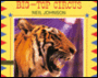 Big-Top Circus