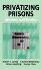 Privatizing Prisons: Rhetoric and Reality / Edition 1