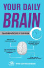 Your Daily Brain: 24 Hours in the Life of Your Brain