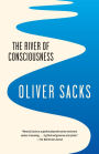 The River of Consciousness