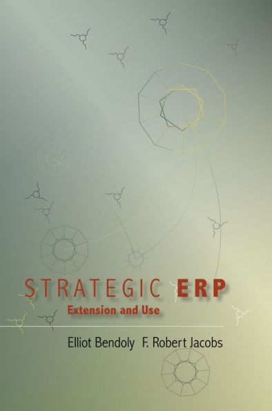 Strategic ERP Extension and Use / Edition 1