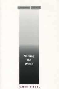 Title: Naming the Witch / Edition 1, Author: James Siegel