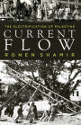 Current Flow: The Electrification of Palestine