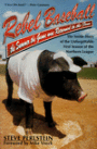 Rebel Baseball: The Summer the Game Was Returned to the Fans
