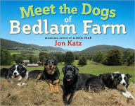 Meet the Dogs of Bedlam Farm