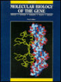 Molecular Biology of the Gene / Edition 4