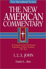 1,2,3 John: An Exegetical and Theological Exposition of Holy Scripture