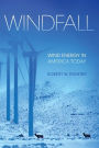 Windfall: Wind Energy in America Today / Edition 1