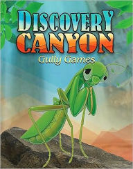Vbs 09-Discovery Canyon Gully Games Guide