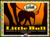 Little Bull: Growing up in Africa's Elephant Kingdom