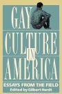Gay Culture in America: Essays from the Field / Edition 1