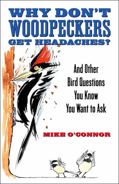 Why Don't Woodpeckers Get Headaches?: And Other Bird Questions You Know You Want to Ask