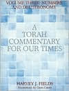 Torah Commentary for Our Times, Volume 3: Numbers and Deuteronomy