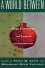 A World Between: Poems, Short Stories and Essays by Iranian-Americans, an Anthology
