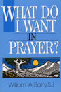 What Do I Want in Prayer?