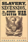 Slavery, Secession, and Civil War: Views from the UK and Europe, 1856-1865