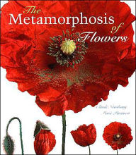 The Metamorphosis of Flowers