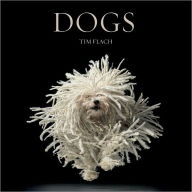 Title: Dogs: Photographs, Author: Tim Flach