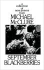 September Blackberries