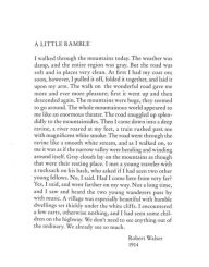 Title: A Little Ramble: In the Spirit of Robert Walser, Author: Robert Walser