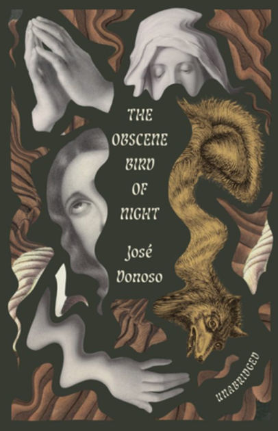 the obscene bird of night barnes and noble