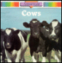 Cows