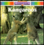 Kangaroos