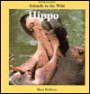 Hippo