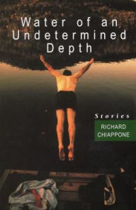 Title: Water of an Undetermined Depth, Author: Richard Chiappone