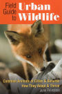 Field Guide to Urban Wildlife
