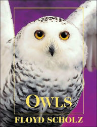 Title: Owls: An Artist's Guide to Understanding Owls, Author: Floyd Scholz