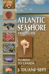 Title: Atlantic Seashore Field Guide: Florida to Canada, Author: J. Duane Sept