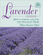 Lavender: How to Grow and Use the Fragrant Herb