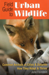 Title: Field Guide to Urban Wildlife, Author: Julie Feinstein