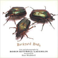Backyard Bugs