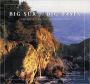 Big Sur to Big Basin: California's Dramatic Central Coast