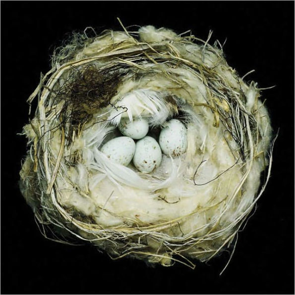 Nests: Fifty Nests and the Birds that Built Them