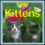 Baby Animals: Kittens