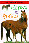 Horses and Ponies
