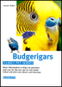 Budgerigars
