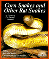 Corn Snakes & Other Rat Snakes: Complete Pet Owner's Manual